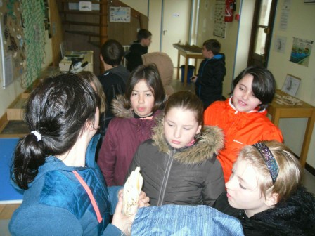 SAM_0131.jpg
